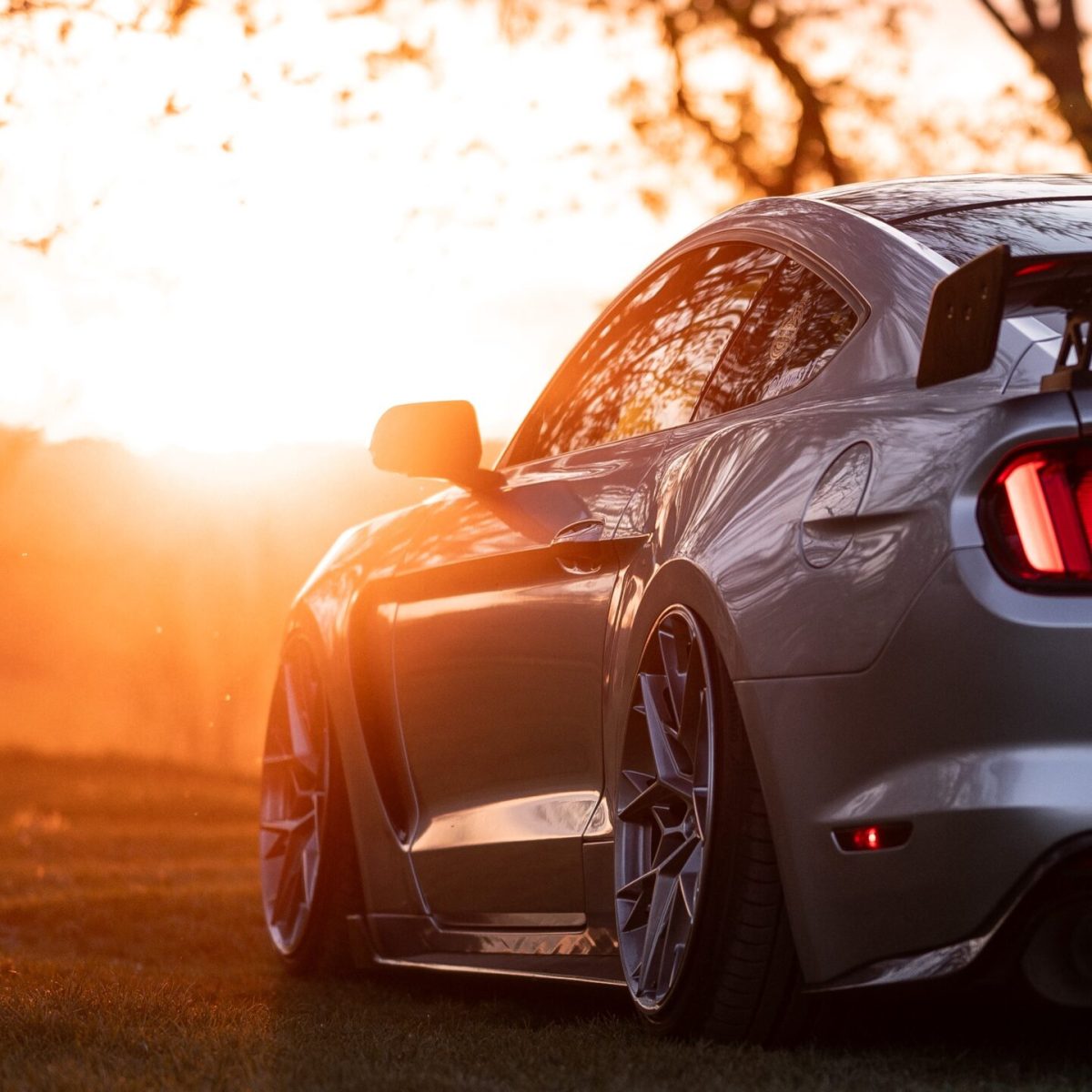 mustang1