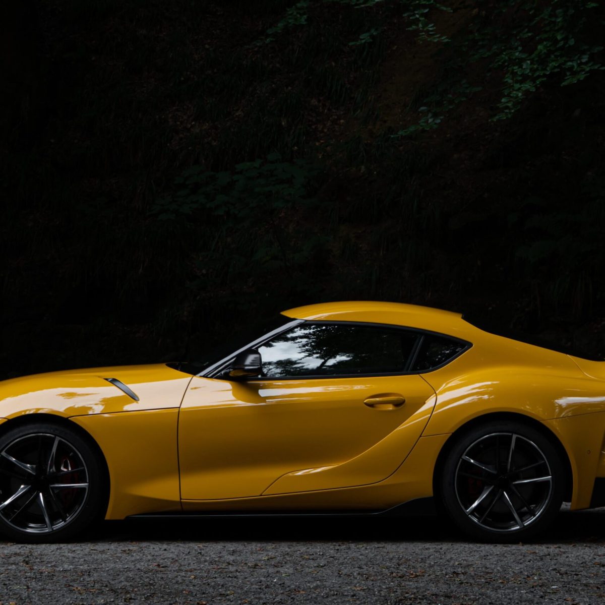 supra1
